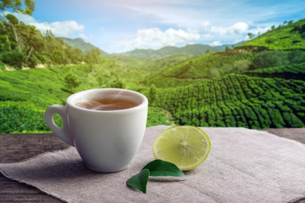 10 ประโยชน์ต่อสุขภาพของการดื่ม "ชาเขียวมะนาว"